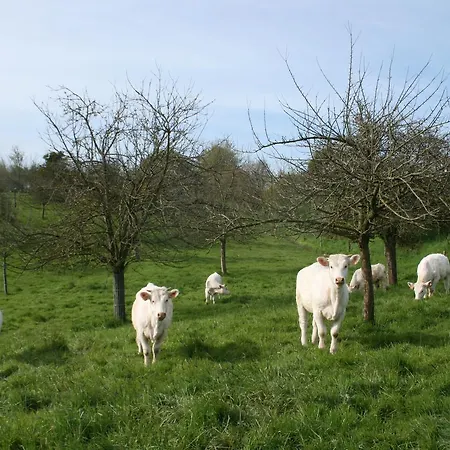 Chateau De 4* Canisy