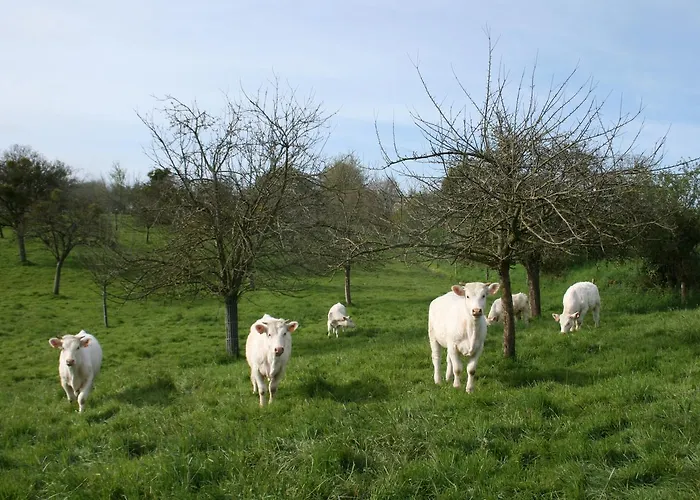 Chateau De 4* Canisy